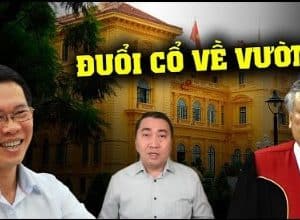 Chủ tịch Võ Văn Thưởng sẽ chấm dứt sự nghiệp tàn ác của NH Bình như thế nào phần 2